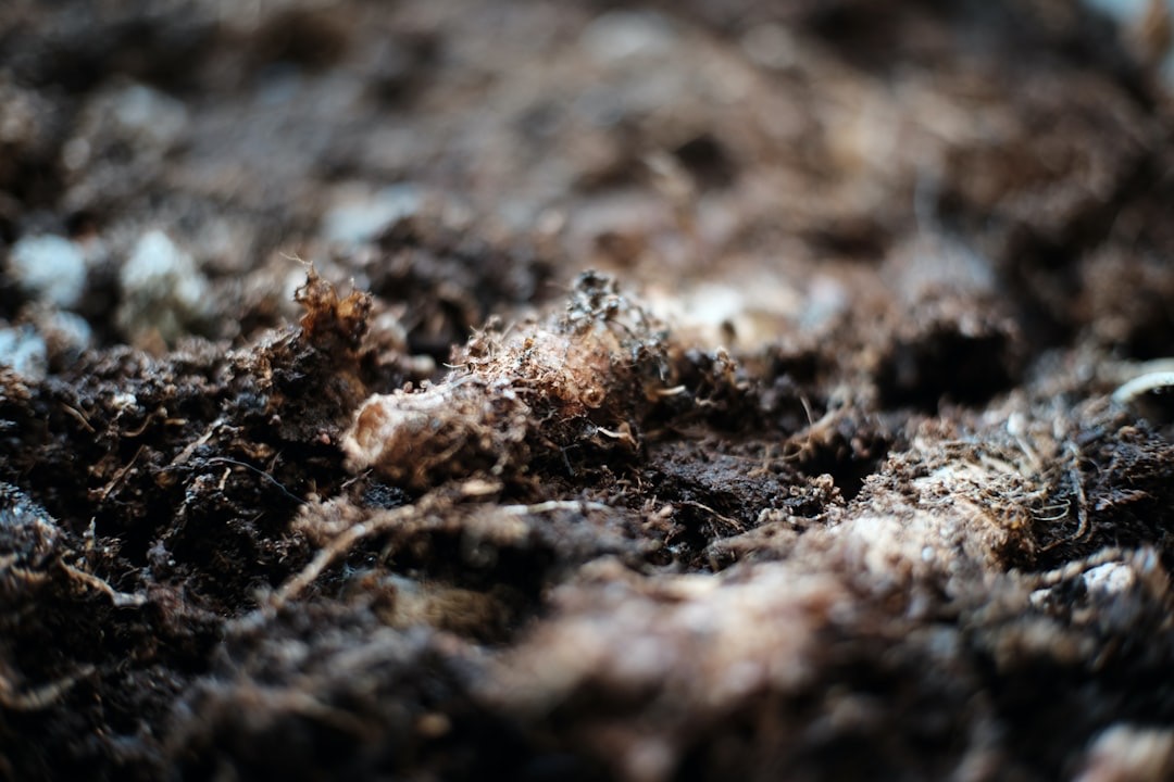 Cómo hacer compost casero en poco espacio (aunque vivas en un piso)