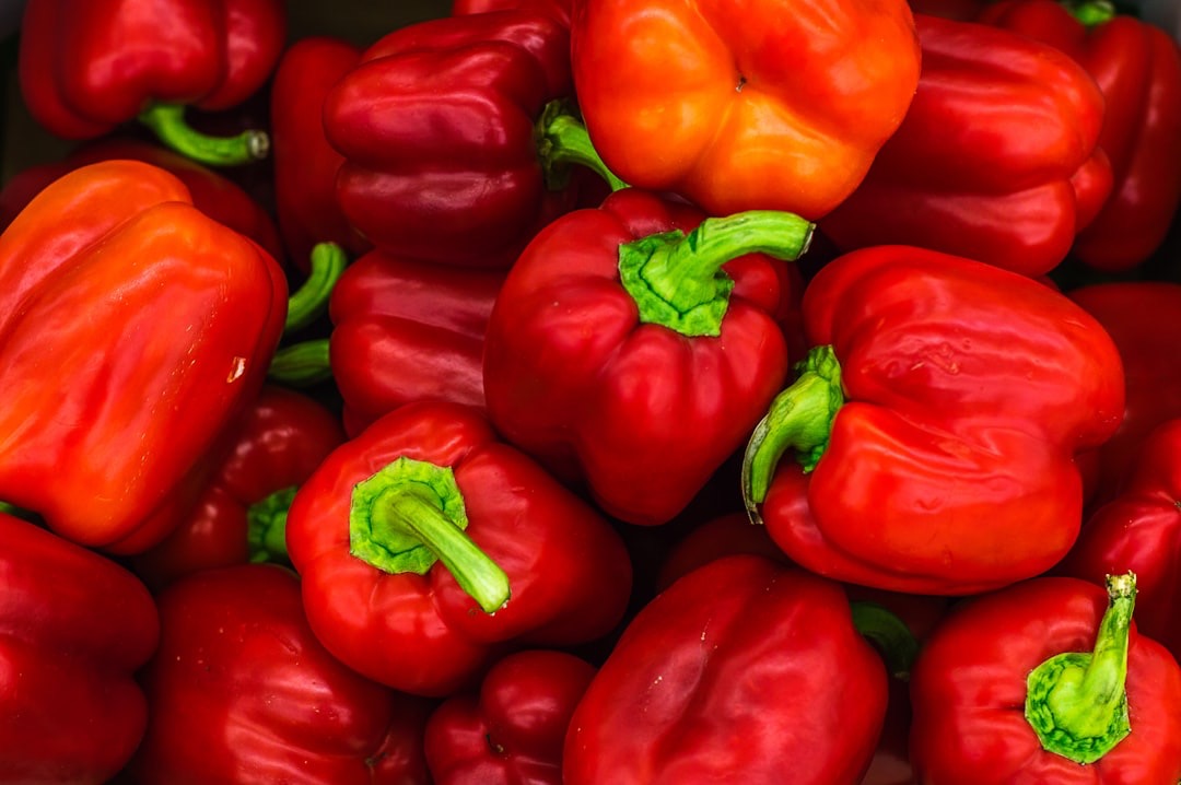 Cómo cultivar pimientos en maceta paso a paso